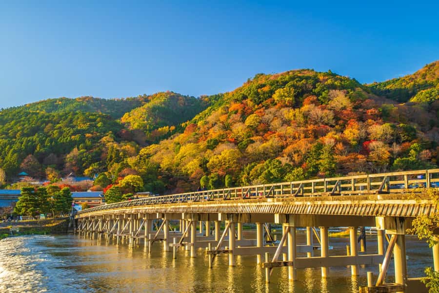 Osaka/Kyoto: Arashiyama, Nara & Fushimi Inari Shrine w/Lunch - Price and Logistics: What $61 Covers, and What You Might Pay Extra
