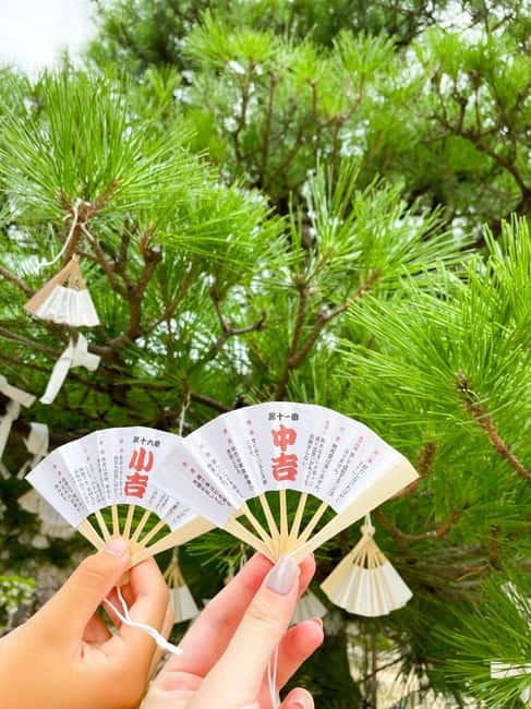 Osaka: Kyoto By The Sea with Amanohashidate & Ine no Funaya - The optional Ine sightseeing boat: the closest look at the funaya from the bay