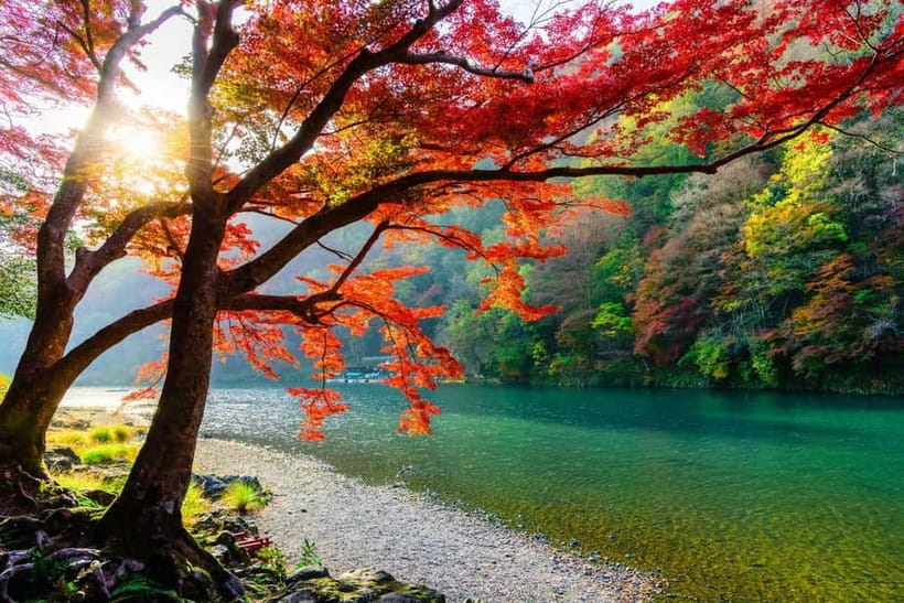 Osaka/Kyoto: Katsuoji, Kinkakuji, Arashiyama 1-Day Bus Tour - The flow of the day, and where you may feel rushed