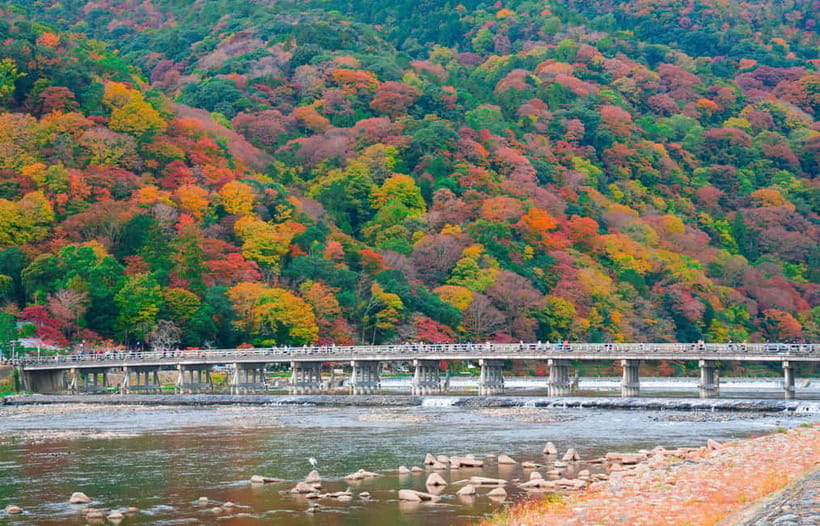 Osaka/Kyoto: Katsuoji, Kinkakuji, Arashiyama 1-Day Bus Tour - Kimono Forest: when art-gallery lighting meets traditional fashion