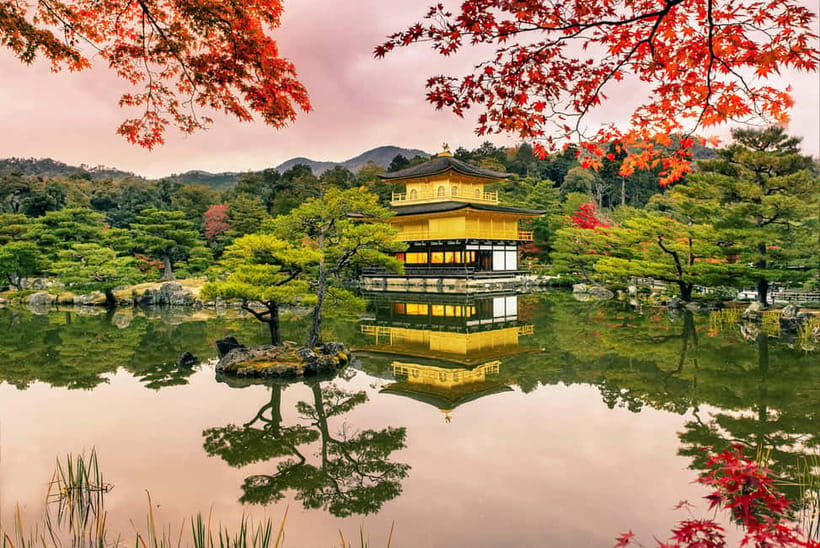 Osaka/Kyoto: Katsuoji, Kinkakuji, Arashiyama 1-Day Bus Tour - Nonomiya Shrine: a love-wish moment with a painted horse