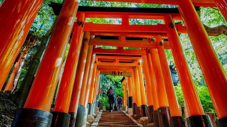 Osaka/Kyoto:Kinkakuji,Arashiyama,FushimiInariShrine,NaraPark - Key points before you go