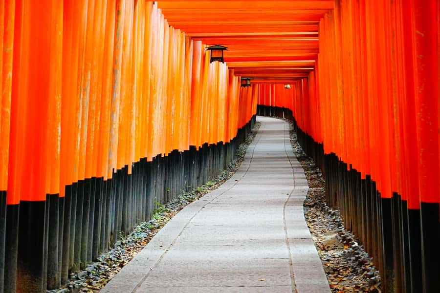 Osaka/Kyoto:Kinkakuji,Arashiyama,FushimiInariShrine,NaraPark - How this Osaka-Kyoto highlights day tour is actually built