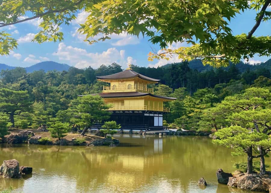 Osaka/Kyoto:Kinkakuji,Arashiyama,FushimiInariShrine,NaraPark - Fushimi Inari Shrine and 1,000 torii gates, the walk you can pace
