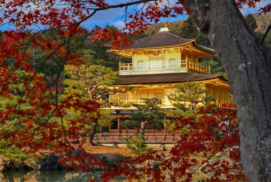 Osaka/Kyoto:Kinkakuji,Arashiyama,FushimiInariShrine,NaraPark - Guide quality and group reality on a packed bus day