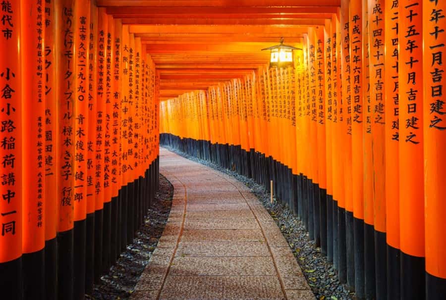 Osaka/Kyoto:Kinkakuji,Arashiyama,FushimiInariShrine,NaraPark - Nara Park deer and Todai-ji, the UNESCO start that resets the mood