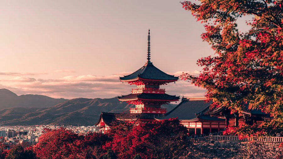 Osaka/Kyoto: Kiyomizudera Fushimi Inari, Nara Tour w/ Pickup - Fushimi Inari Taisha: Senbon Torii without getting lost
