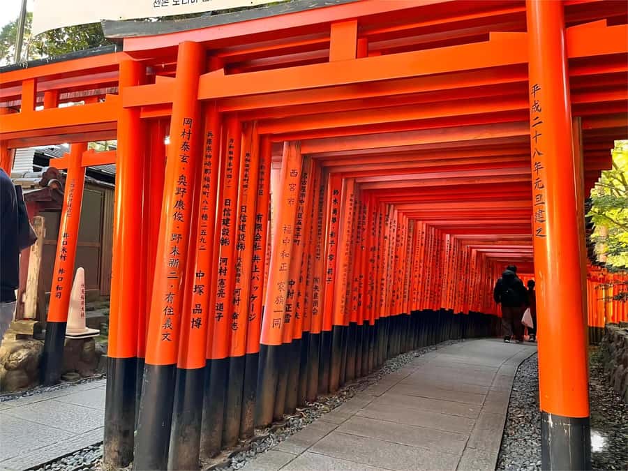 Osaka/Kyoto: Kiyomizudera Fushimi Inari, Nara Tour w/ Pickup - Todai-ji Temple: the Great Buddha moment that changes your pace