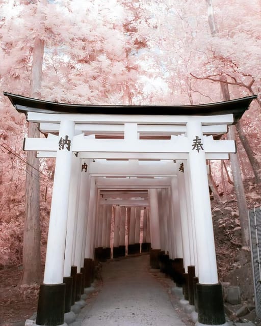 Osaka/Kyoto/Nara: Custom Tour with English-Speaking Guide - Should You Book This Osaka, Kyoto, Nara Custom Private Tour?
