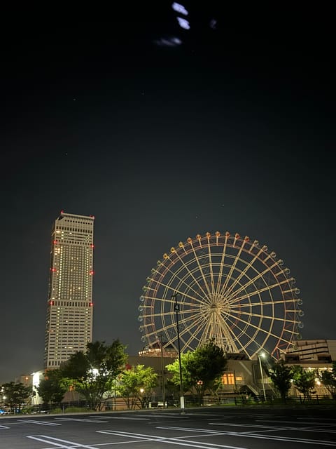 Osaka/Kyoto/Nara: Custom Tour with English-Speaking Guide - Price and Value at $499 for Up to 6