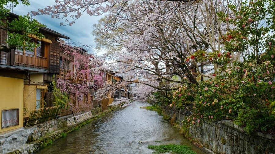 OSAKA-KYOTO-NARA Highlight Customized Trip With Hotel Pickup - Morning anchor 1: Kinkaku-ji in your first hour