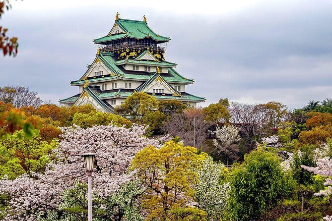 Osaka & Kyoto & Nara Top Hightlights English Speaking Tour - Nara Park deer time plus a quick Todai-ji look at the Great Buddha