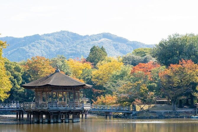 Osaka & Kyoto & Nara Top Hightlights English Speaking Tour - Timing tips for a day that can feel full, not relaxed