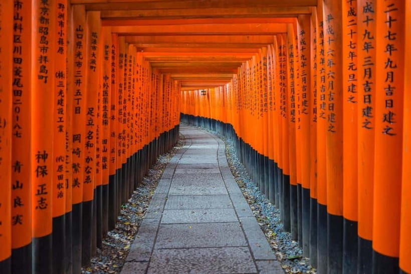 Osaka: Kyoto & Nara & Uji Historical and Scenic One-Day Tour - Key points that matter before you go