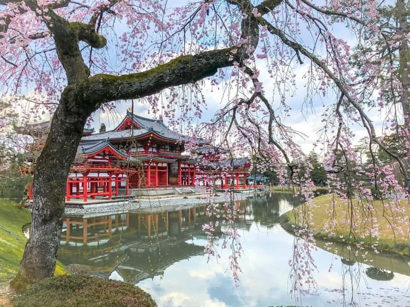 Osaka: Kyoto & Nara & Uji Historical and Scenic One-Day Tour - Todaiji Temple: World Heritage scale, 30 minutes of wow