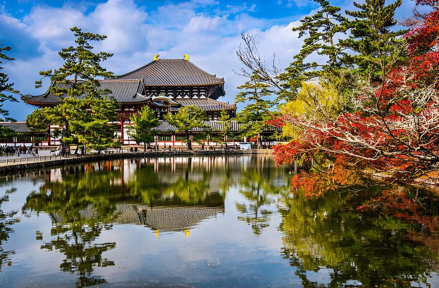 Osaka/Kyoto: Private Kyoto and Nara Day Trip - The people factor, English guidance, and why drivers get praised