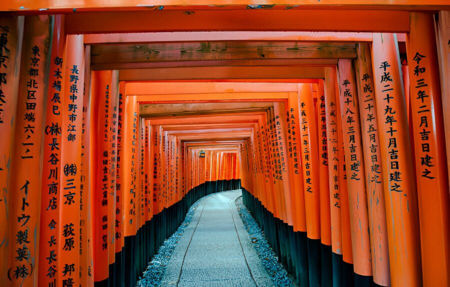 Osaka/Kyoto: Private Kyoto and Nara Day Trip - Should you book this Kyoto and Nara private day trip?