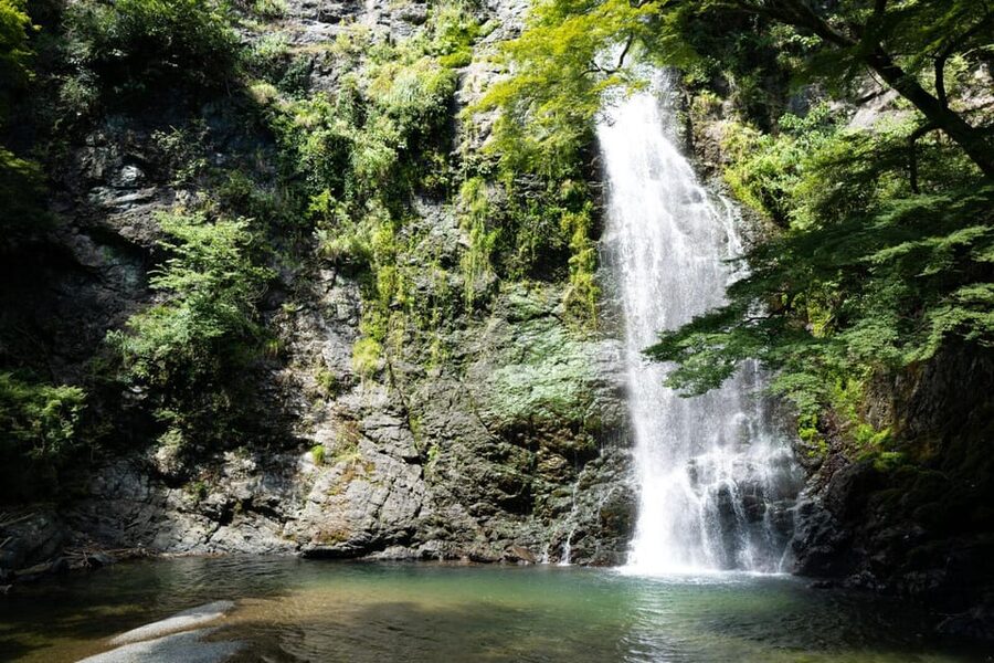 Osaka: Minoh, Katsuoji Temple, & Minoh Falls Full-day Tour - Walking through Minoh Park: river valley calm on the way back