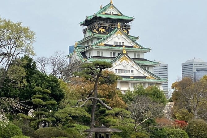 Osaka: Nara, Todaiji, Uji Matcha, and Hot Spring Tour - Price and value, what your $81 covers and what it doesn’t