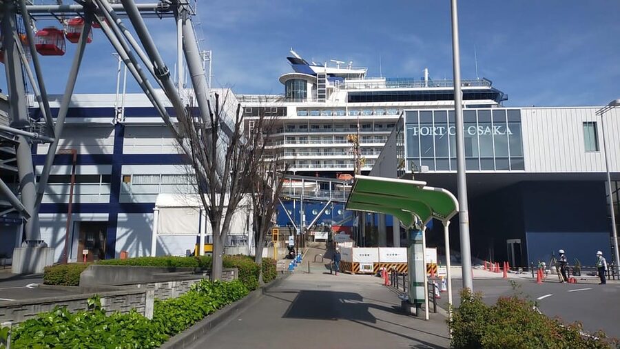 Osaka: Private 4/5/6h Tour For Cruise Ship Passengers - Dotonbori and the running man: where your guide earns their fee