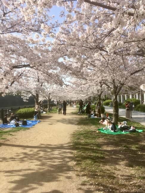 Osaka: Private and Fully Customized Tour with Hotel Meet Up - A private Osaka morning that starts at your door