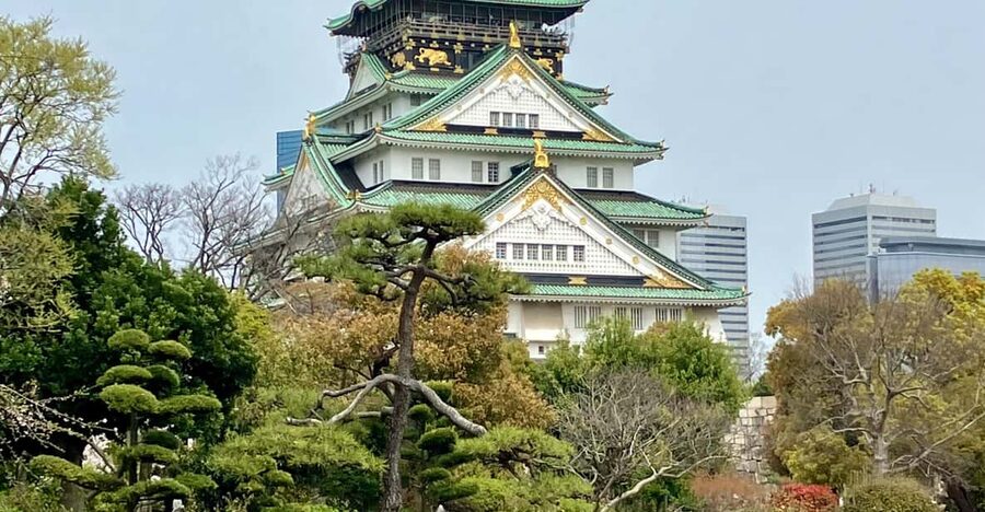 Osaka: Private and Fully Customized Tour with Hotel Meet Up - Kuromon Ichiba Market, snacks and street-smart choices