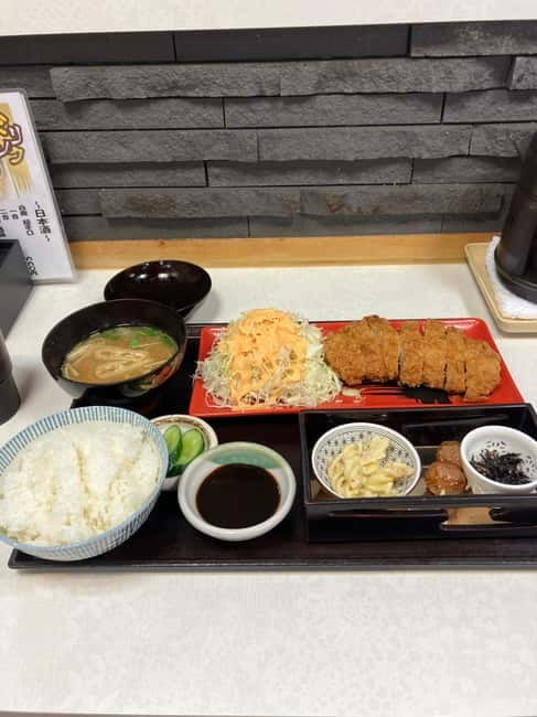 Osaka: Private and Fully Customized Tour with Hotel Meet Up - How the guide makes or breaks the day