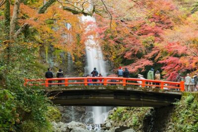 Osaka Private Food Tours by Local Foodies: 100% Personalized