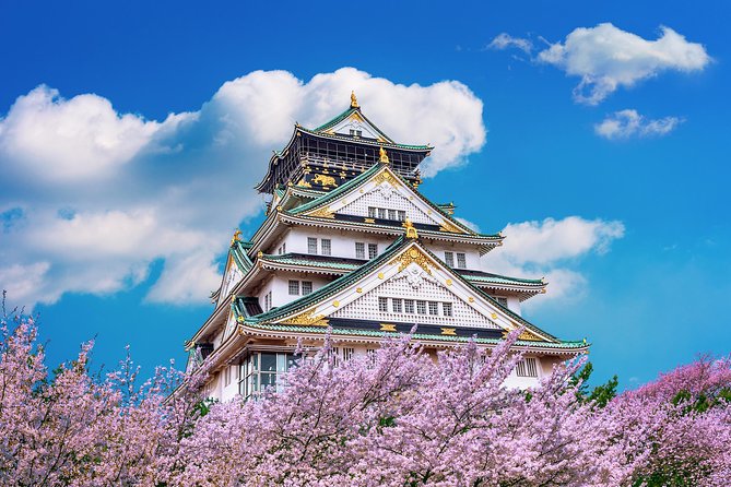 Osaka Private Food Tours by Local Foodies: 100% Personalized - Price and value: is $186.57 a fair deal?