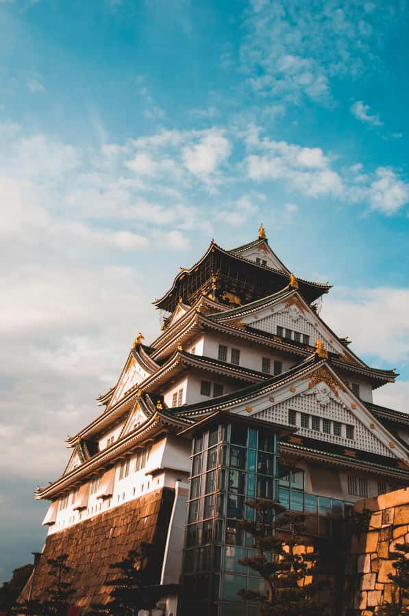 Osaka private Luxury Vehicle Tour:Freely Customized - Driver service level: great navigation, flexible drops, and what to expect