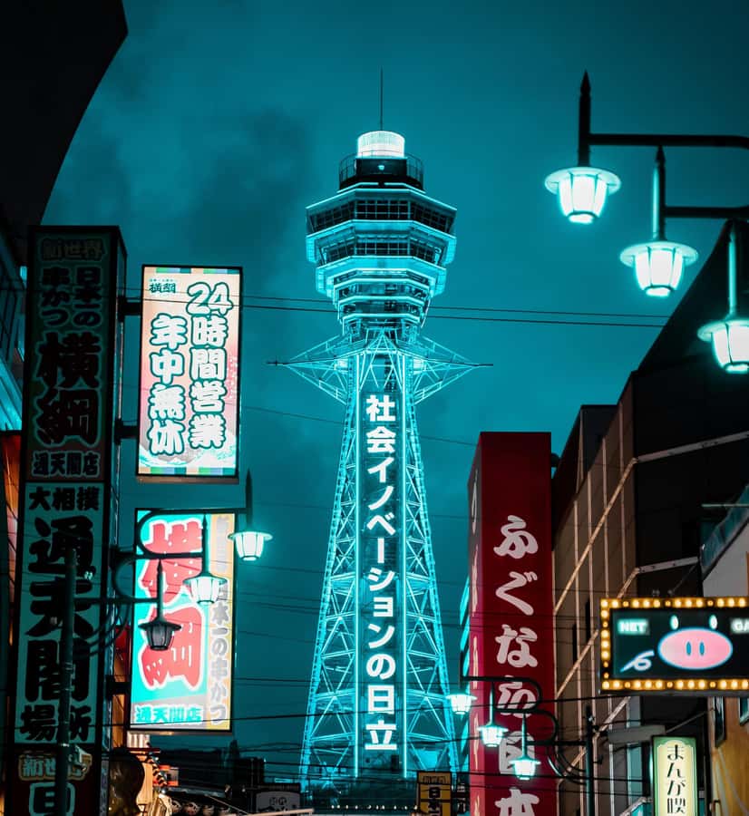 Osaka private Luxury Vehicle Tour:Freely Customized - Who should book this Osaka private luxury vehicle tour