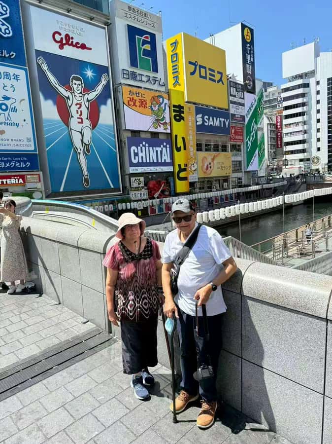 Osaka private Luxury Vehicle Tour:Freely Customized - Osaka Castle Park and Tenshukaku, plus March to May sakura views