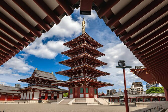 Osaka Private Tour with English-Speaking Driver - How the Private Driver Experience Feels in Real Life