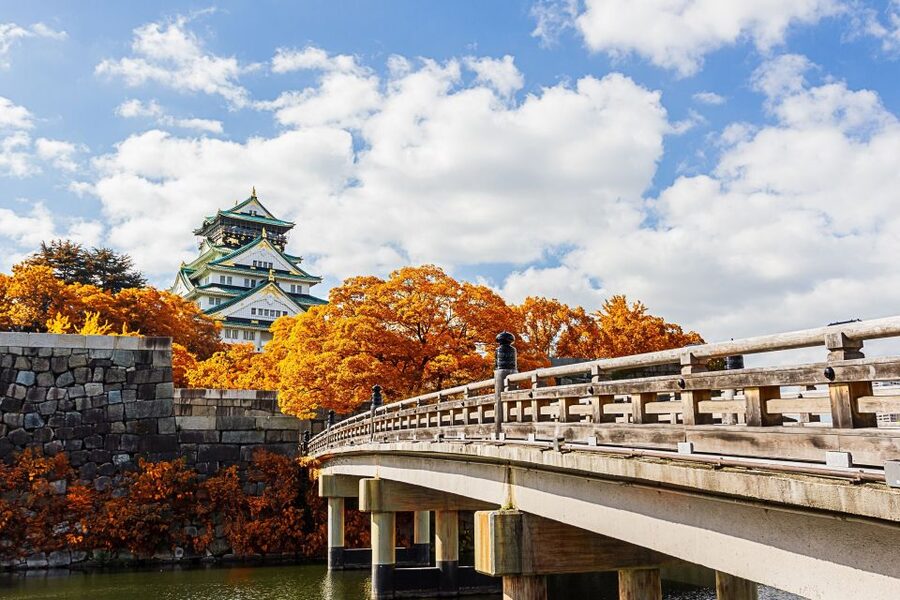 Osaka Private Tour with Government-Licensed Guide - Building your own Osaka route without losing the thread