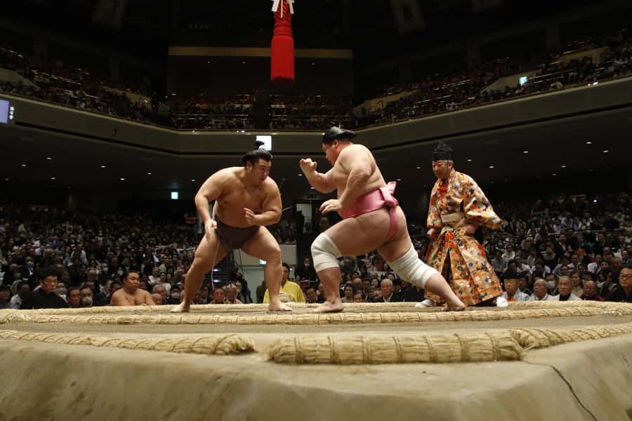 Osaka: Sumo Wrestling Tournament with Chair Seat Tickets - What You’ll See: How the Tournament Builds in the Afternoon
