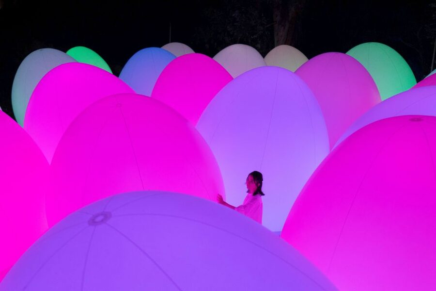Osaka: teamLab Botanical Garden Entry Ticket - Key things to know before you go