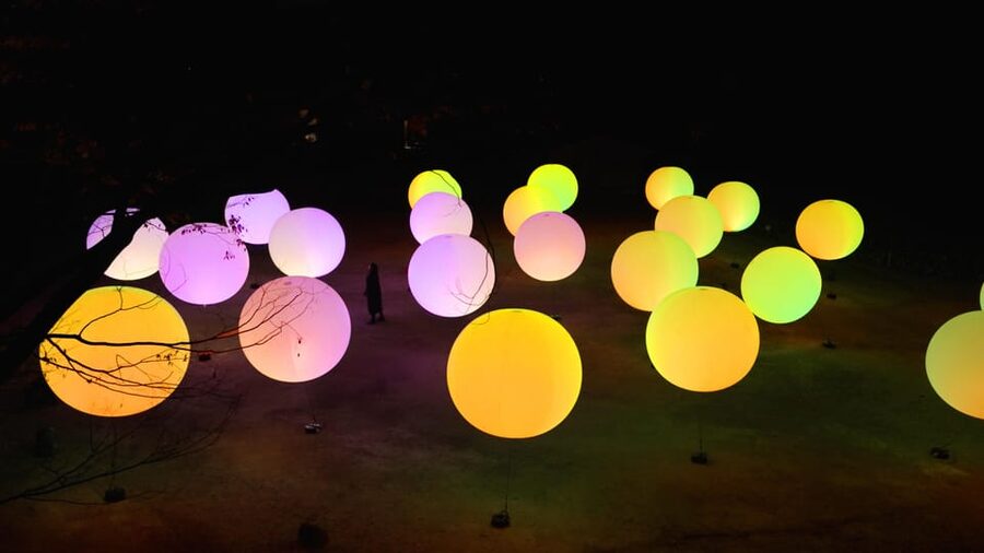 Osaka: teamLab Botanical Garden Entry Ticket - Where this fits in your Osaka itinerary