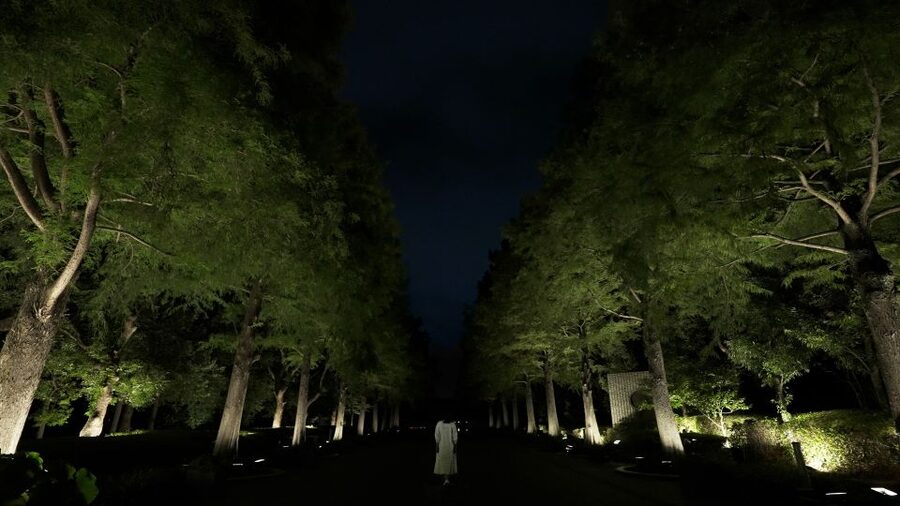 Osaka: teamLab Botanical Garden Entry Ticket - Daytime at Nagai Botanical Garden: plants first, photos later