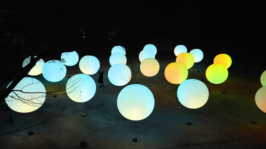 Osaka: teamLab Botanical Garden Entry Ticket - What makes the garden itself worth your time
