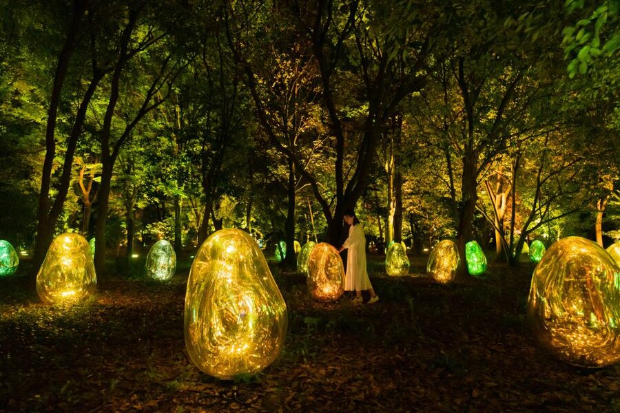 Osaka: teamLab Botanical Garden Entry Ticket - Practical logistics that make or break the night