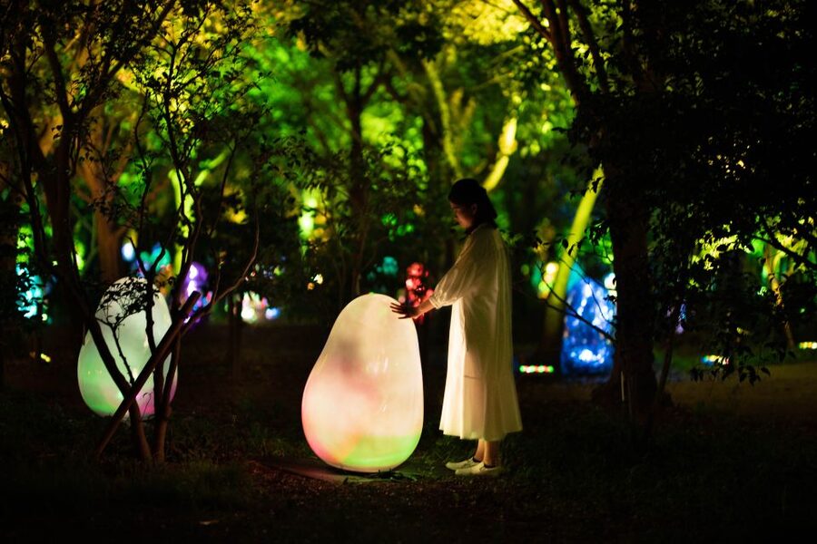 Osaka: teamLab Botanical Garden Entry Ticket - What to bring, what not to bring