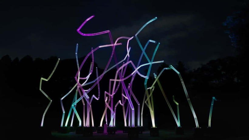 Osaka: teamLab Botanical Garden Entry Ticket - Nighttime teamLab: light art that talks back to the garden