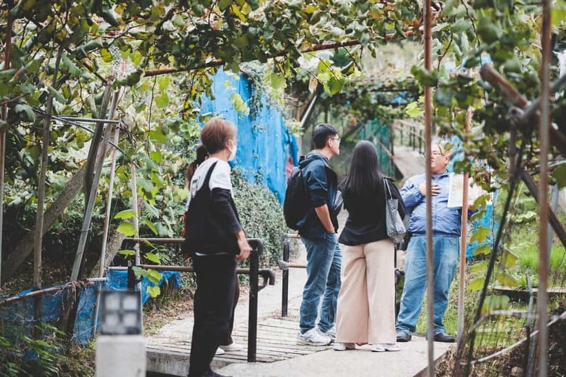 Osaka Winery Tour with Wine Tasting & Vineyard Walk - Who should book this tour, and who might skip it