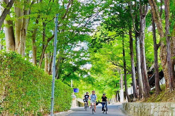 Pedal Adventure Kyoto's iconic landmarks on an e-bike tour - Why an e-bike is the smart way to do Kyoto