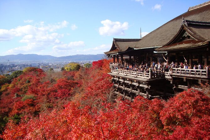 PERFECT KYOTO 1-Day Bus Tour - Key things that make this Kyoto 1-day bus tour work