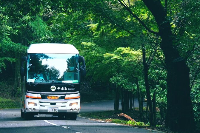 Perfect Nara Park Half-Day Bus Tour with English Speaking Guide - Group Size, Comfort, and How to Prepare for a 4-Hour Day