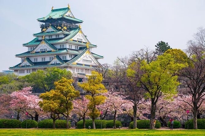 PRIVATE 6hr, Food tour from Osaka Castle, Kuromon, Dotonbori. - Key highlights at a glance