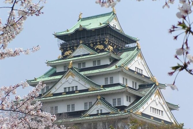 PRIVATE 6hr, Food tour from Osaka Castle, Kuromon, Dotonbori. - Dotonbori and the Glico Sign: finish strong, then roam