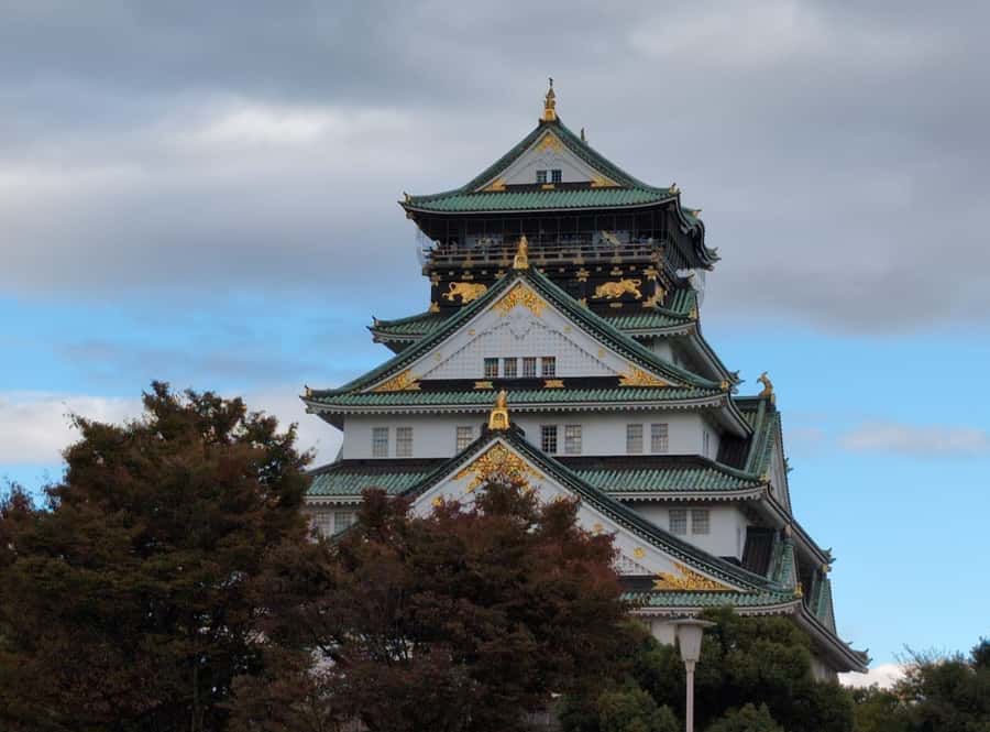 Private 8 hour Tour around Kyoto with Spanish guide - Kinkakuji Golden Pavilion and Garden Time