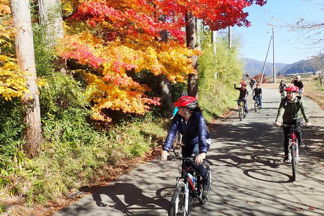 Private Afternoon Cycling Tour in Hida-Furukawa - The 2:00 pm start, 3.5-hour format, and the “easy day” timing